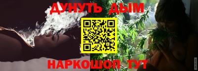 спиды Кингисепп