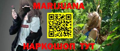 спиды Кингисепп