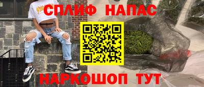спиды Кингисепп