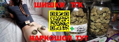 спиды Кингисепп