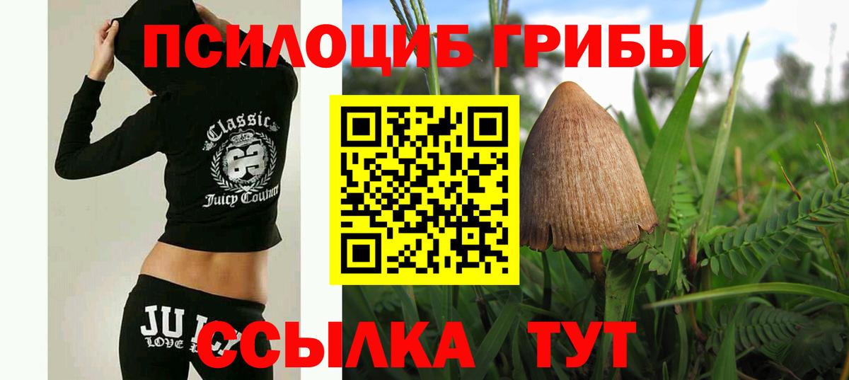 Галлюциногенные грибы MAGIC MUSHROOMS  Галлюциногенные грибы Cubensis  Вход с VPN  Карачаевск 